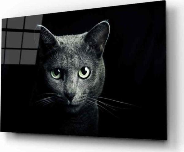İdealizbiz Kedi 8 Hayvan Cam Tablo - Image 1