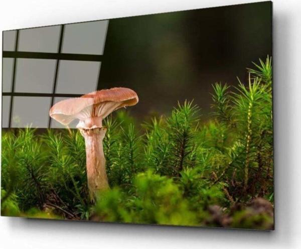 İdealizbiz Mantar Cam Tablo - Image 1