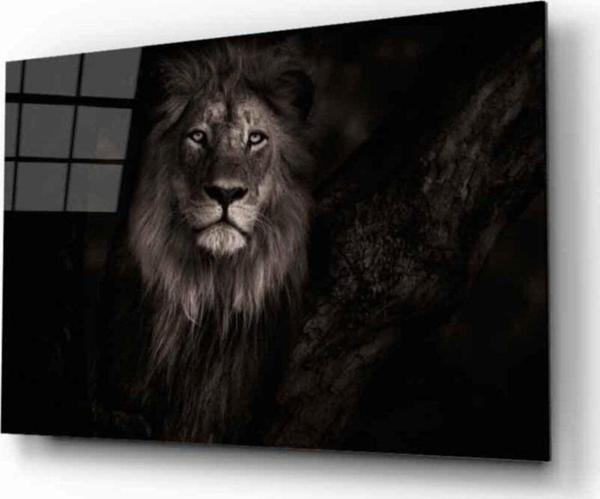 İdealizbiz Aslan 25 Hayvan Cam Tablo - Image 1