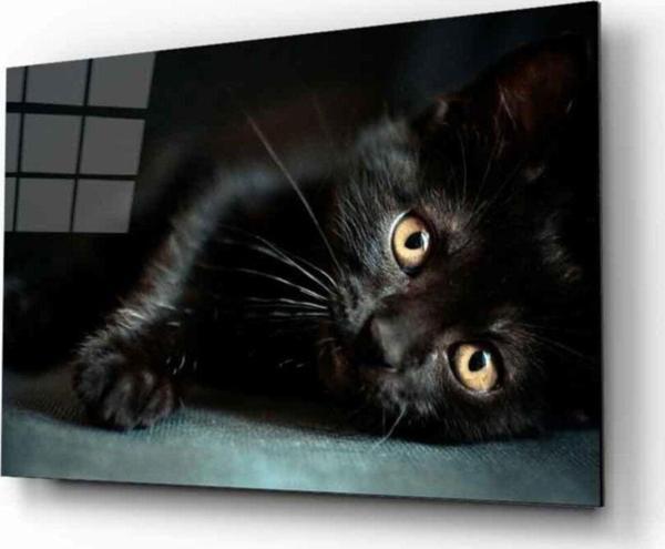 İdealizbiz Kedi 10 Hayvan Cam Tablo - Image 1