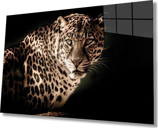 İdealizbiz Leopar Hayvan Portresi Cam Tablo, Ev Ve Ofis Duvar Dekoru, Hediyelik Büyük Temperli 4 Mm Cam Tablo - Image 1