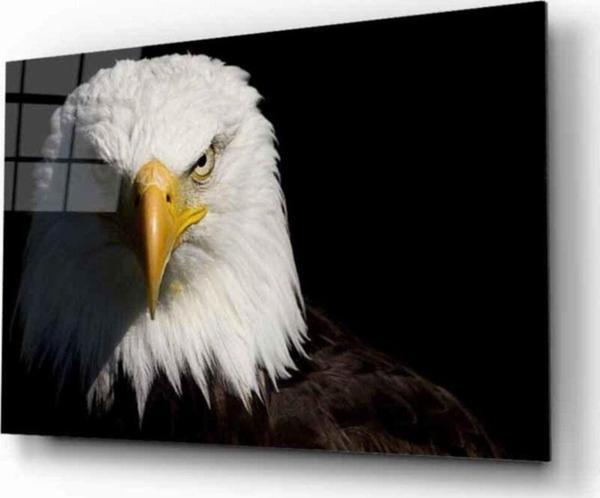 İdealizbiz Kartal 7 Hayvan Cam Tablo - Image 1