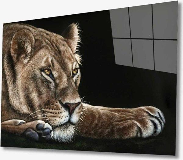 İdealizbiz Aslan Hayvan Cam Tablo 4Mm Dayanıklı Temperli Cam - Image 1