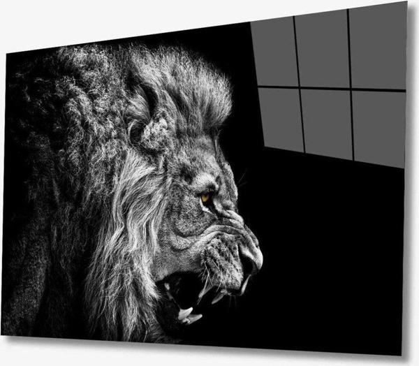 İdealizbiz Aslan Hayvan Cam Tablo 4Mm Dayanıklı Temperli Cam - Image 1