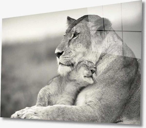 İdealizbiz Aslan Hayvan Cam Tablo 4Mm Dayanıklı Temperli Cam - Image 1