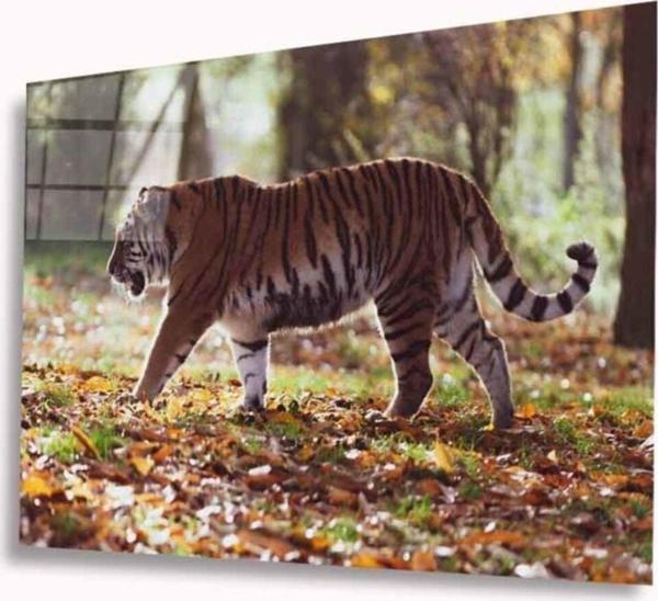 İdealizbiz Kaplan Cam Tablo 4Mm Dayanıklı Temperli Cam - Image 1