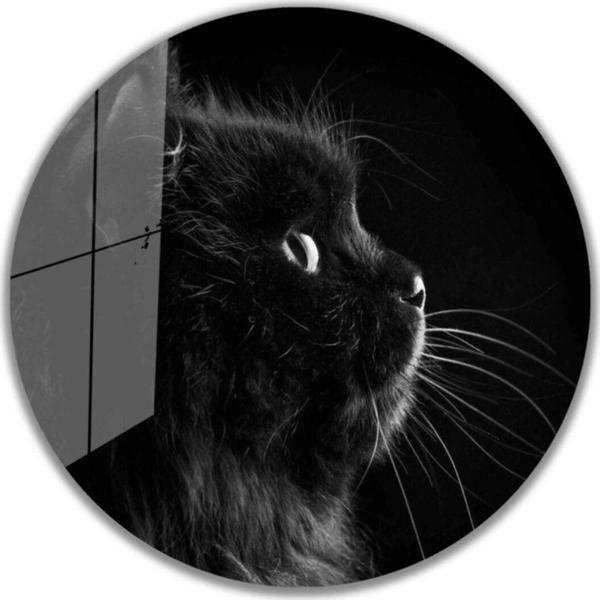 İdealizbiz Kedi Yuvarlak Cam Tablo 4Mm Dayanıklı Temperli Cam - Image 1