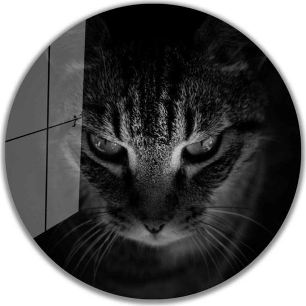 İdealizbiz Kedi Yuvarlak Cam Tablo 4Mm Dayanıklı Temperli Cam - Image 1