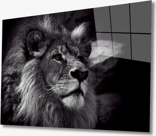 İdealizbiz Aslan Hayvan Cam Tablo 4Mm Dayanıklı Temperli Cam - Image 1
