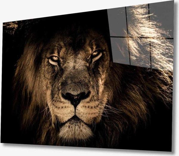 İdealizbiz Aslan Hayvan Cam Tablo 4Mm Dayanıklı Temperli Cam - Image 1