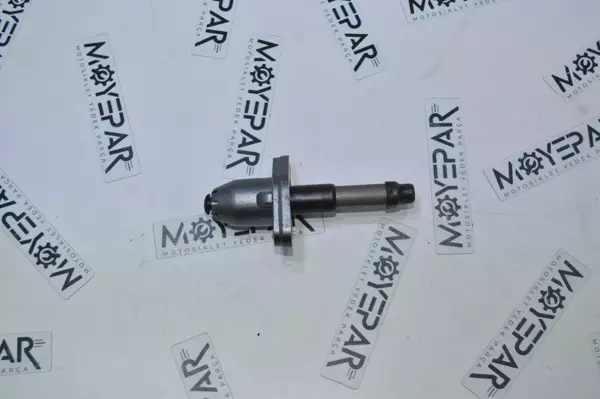 RKV 025 RKS 150 TİTANİK  EKSANTİRİK ZİNCİR GERGİ (MSR) - Image 1