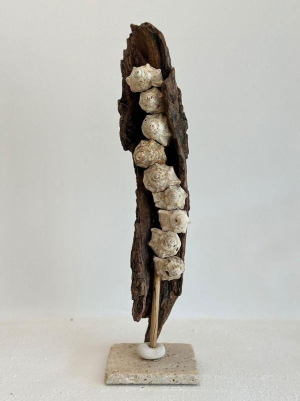 Sooboho Ahşap Driftwood Deniz Kabuğu Dekor Biblo - Image 1