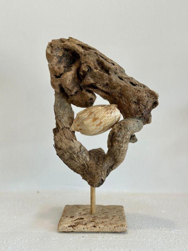 Sooboho Ahşap Driftwood Deniz Kabuğu Dekor Biblo - Image 1