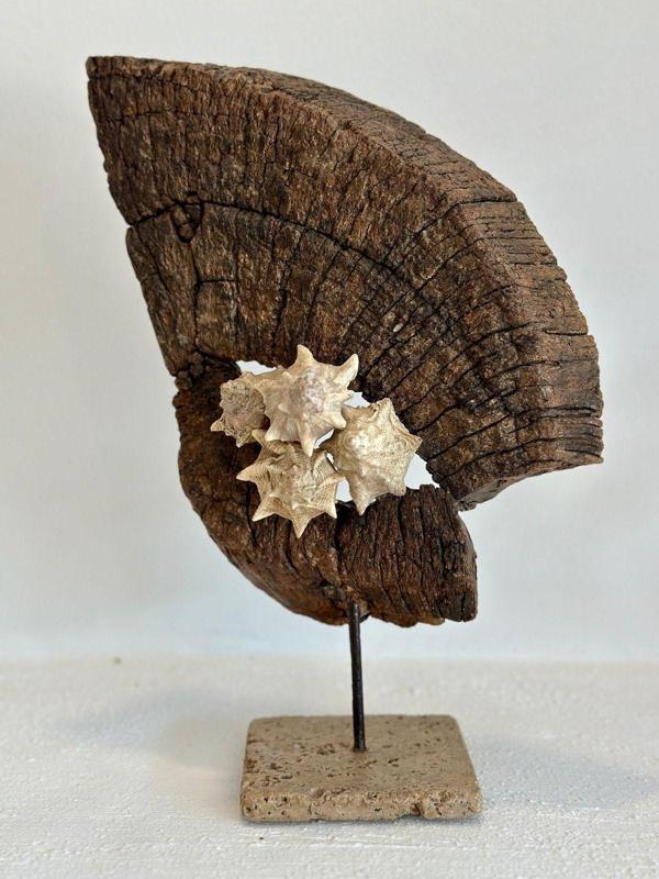 Sooboho Ahşap Driftwood Deniz Kabuğu Dekor Biblo - Image 1