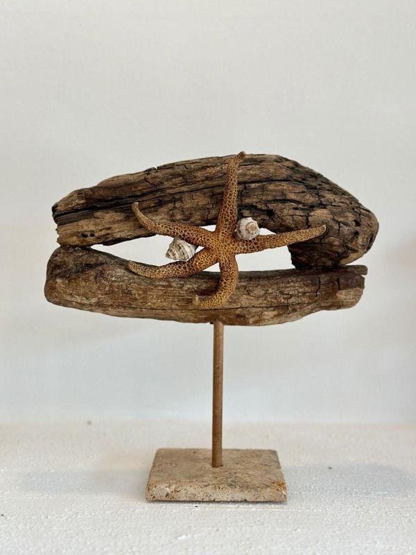 Sooboho Ahşap Driftwood Deniz Kabuğu Dekor Biblo - Image 1