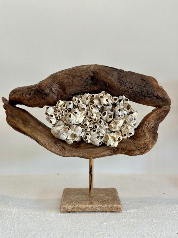 Sooboho Ahşap Driftwood Deniz Kabuğu Dekor Biblo - Image 1