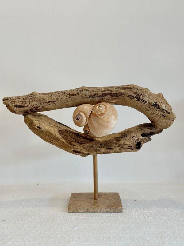 Sooboho Ahşap Driftwood Deniz Kabuğu Dekor Biblo - Image 1