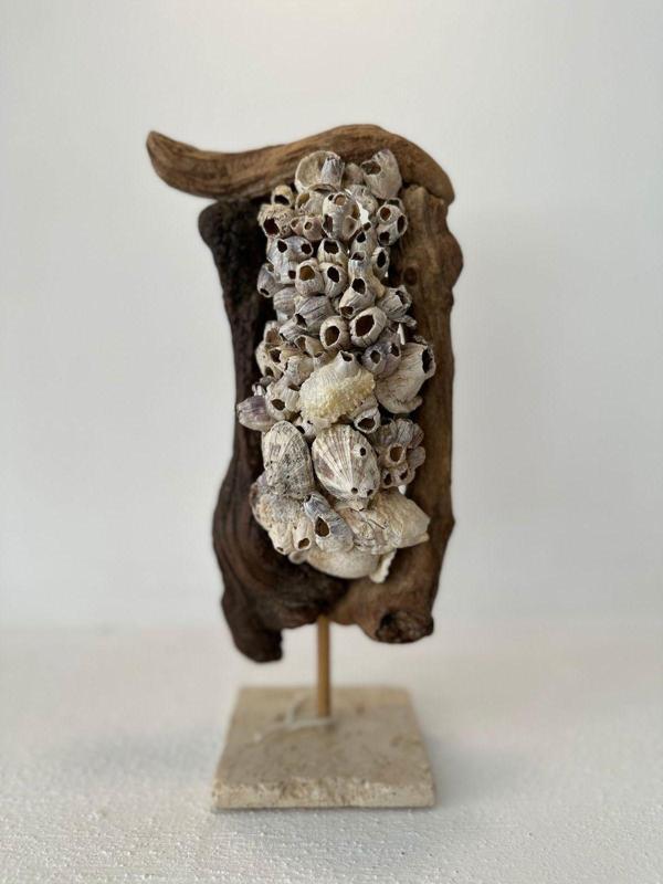 Sooboho Ahşap Driftwood Deniz Kabuğu Dekor Biblo - Image 1