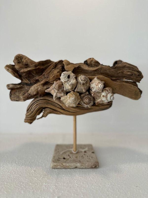 Sooboho Ahşap Driftwood Deniz Kabuğu Dekor Biblo - Image 1