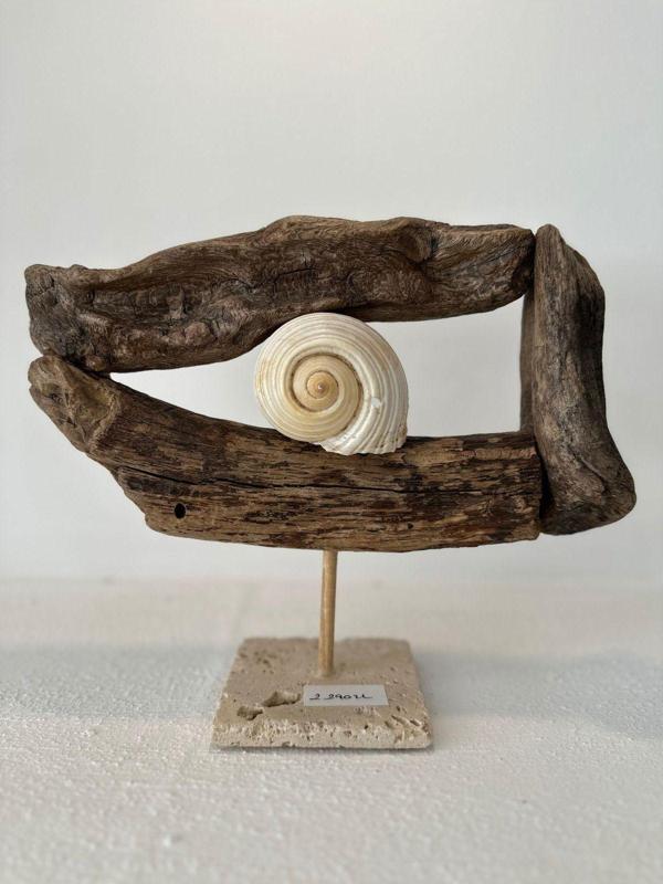 Sooboho Ahşap Driftwood Deniz Kabuğu Dekor Biblo - Image 1