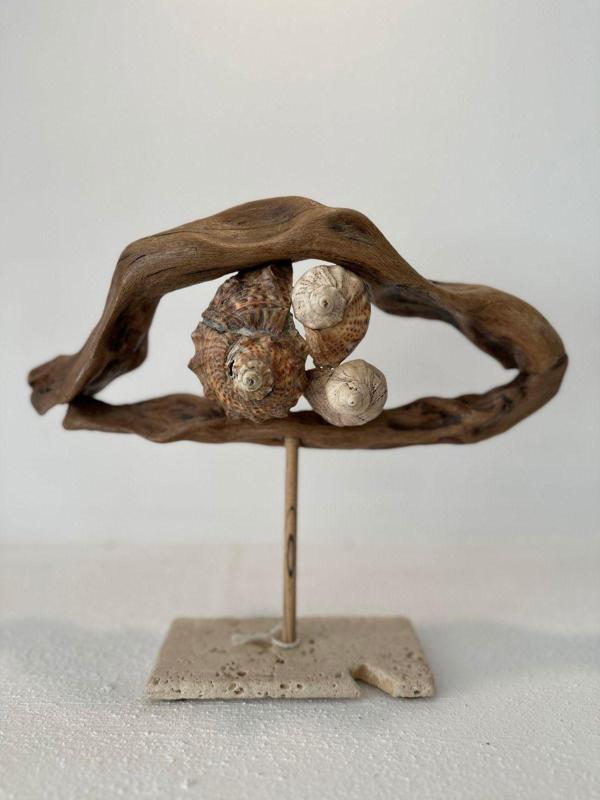 Sooboho Ahşap Driftwood Deniz Kabuğu Dekor Biblo - Image 1
