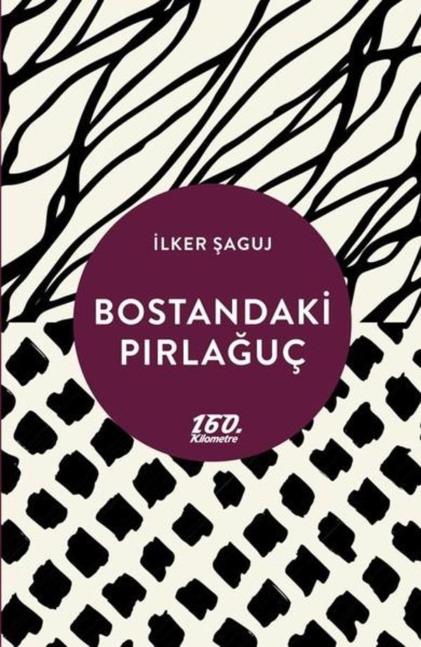 Bostandaki Pırlağuç - 160.Kilometre - Image 1