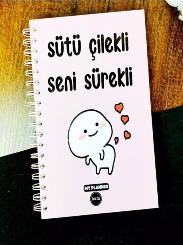 Konuşan Ajanda 17x24 Spiralli Stickerli Kuşe Kağıda Tarihsiz Ajanda Sütü Çilekli Seni Sürekli - Image 1