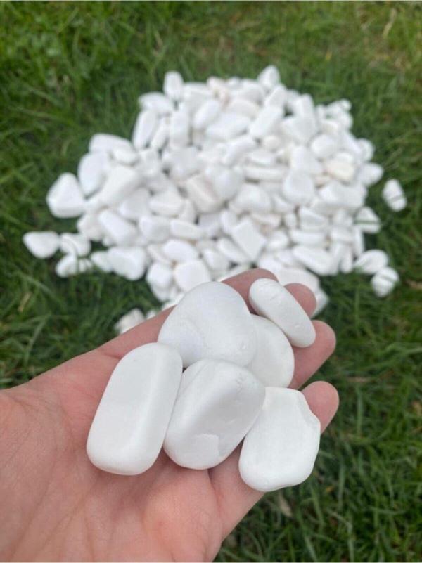Elysian Beyaz Dolomit Taş 1Kg 3-6Cm Doğal Renkli Peyzaj Taşı Dekoratif Akvaryum Bahçe Süs Taşları - Image 1