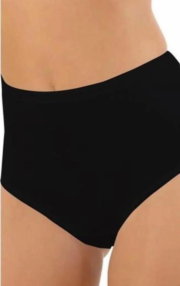 Aydoğan Kadın Biyeli Yüksek Bel Pamuk'lu Bato Külot 0078 - 12 Adet - Image 1