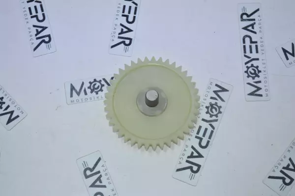 RK 19128 RKS SPONTİNİ 110 YAĞ POMPA DİŞLİSİ - Image 1