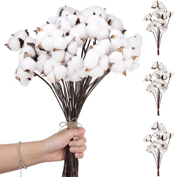3lü Set Doğal Pamuk Çiçeği 30 Adet Tekli Dal Kuru Çiçek 30cm Yapay Çiçek - Image 1