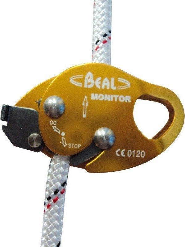 BEAL MONITOR - Image 1