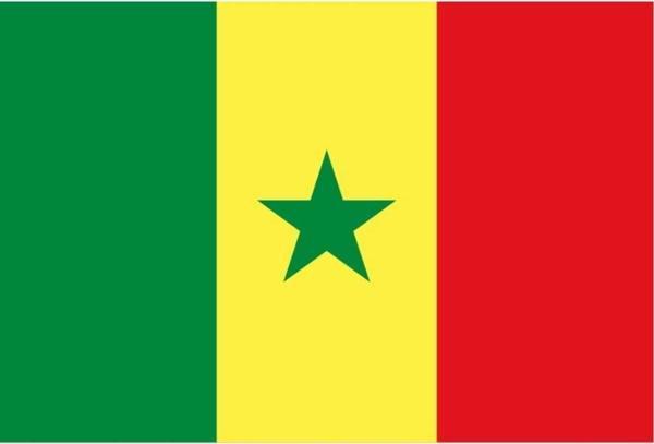 Senegal Gönder Bayrağı 70X105 Cm. - Image 1