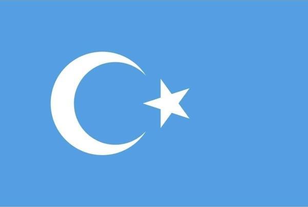 Doğu Türkistan Gönder Bayrağı 70X105 Cm. - Image 1