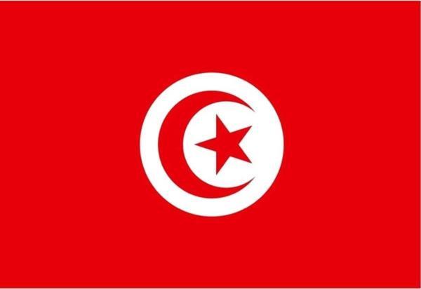 Tunus Gönder Bayrağı 70X105 Cm. - Image 1