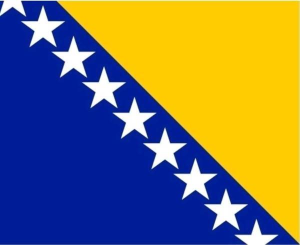 Bosna Hersek Bayrağı 30X45 Cm. - Image 1