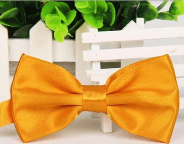 Erkek Çocuk Saten Papyon - Image 1