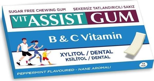 VIT ASSIST GUM VİTAMİNLİ NANE AROMALI SAKIZ 12 Lİ  İÇ ADETİ - Image 1