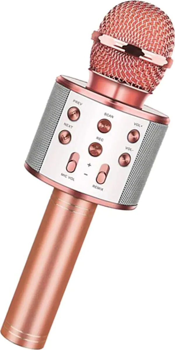 Bluetooth Karaoke Mikrofon-Findit - Image 1