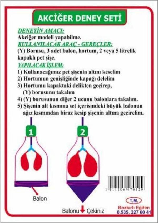 Solunum Deney Seti Akciğer Deney Seti Akciğer Modeli Yapım Seti - Image 1