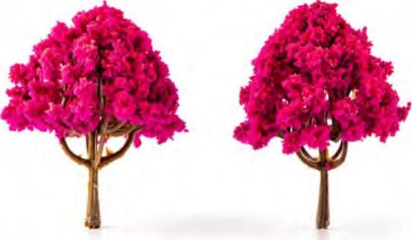 Jordania Maket Fuşya Ağacı 1/100 - Pembe 6cm - Image 1