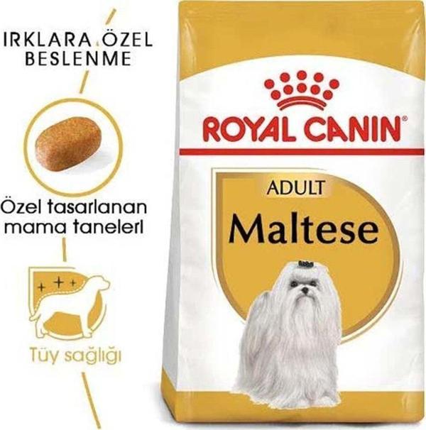 Royal Canin Maltese Adult Köpek Maması 1.5 Kg - Image 1
