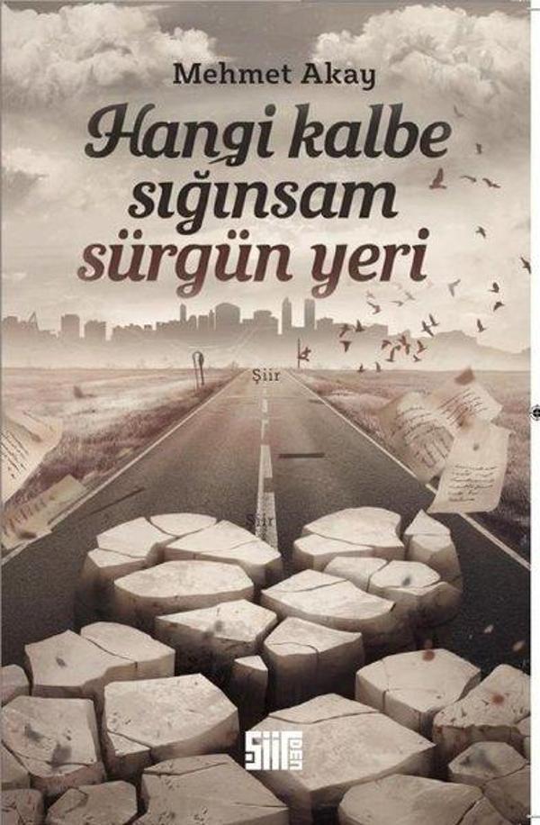 Hangi Kalbe Sığınsam Sürgün Yeri - Şiirden Yayınları - Image 1