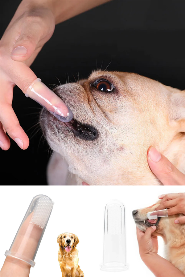 2 Adet Kediler Ve Köpekler Için 2'li Parmak Diş Fırçası - Image 1