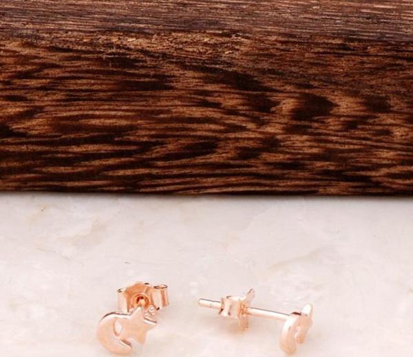 Ay Yıldız Rose Gümüş Tasarım Mini Küpe 4342 - Image 1