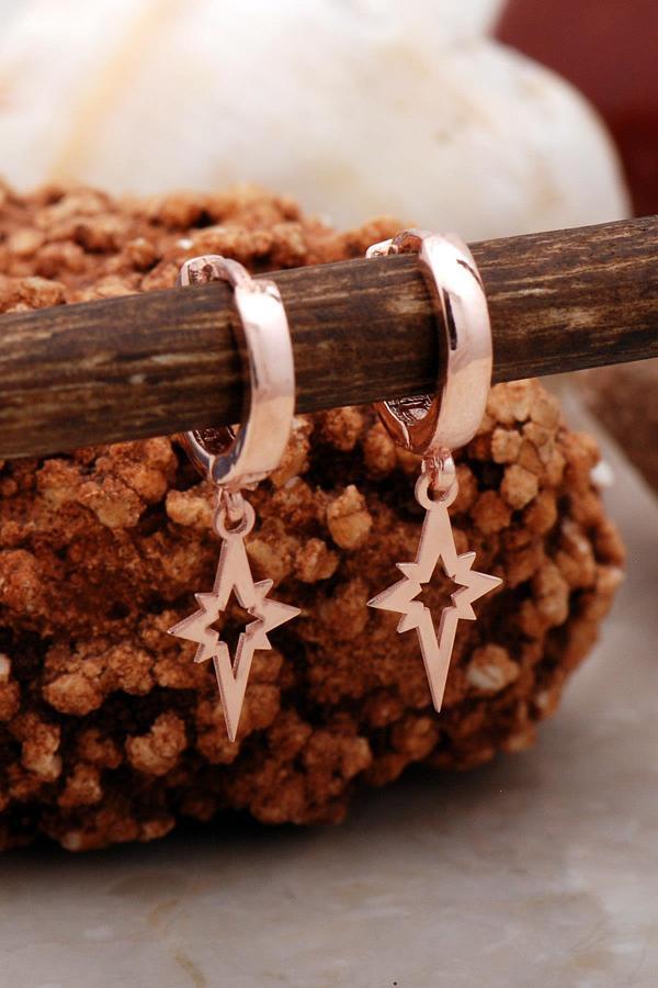 Kutup Yıldızı Rose Gümüş Küpe 5408 - Image 1