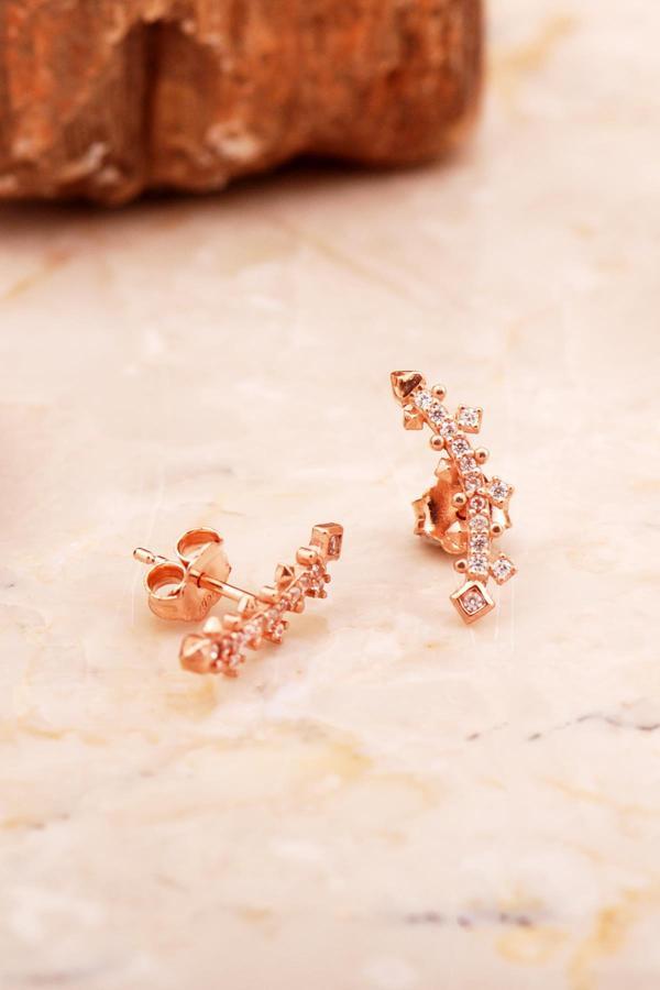 Ritim Mini Rose Gümüş Küpe 6924 - Image 1