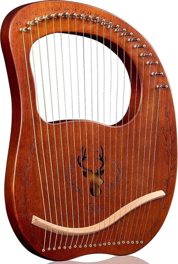 Lea Masif Maun Ağacı 21 Telli Mini Arp Lir Seti ( Kılıf-Akort Alyanı-Pena-Temizleme Bezi) - Image 1