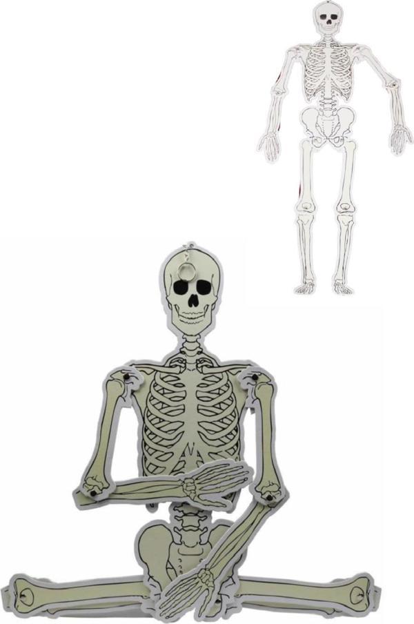 Büyük Boy Karton Iskelet Modeli 90 Cm 1 Adet - Image 1
