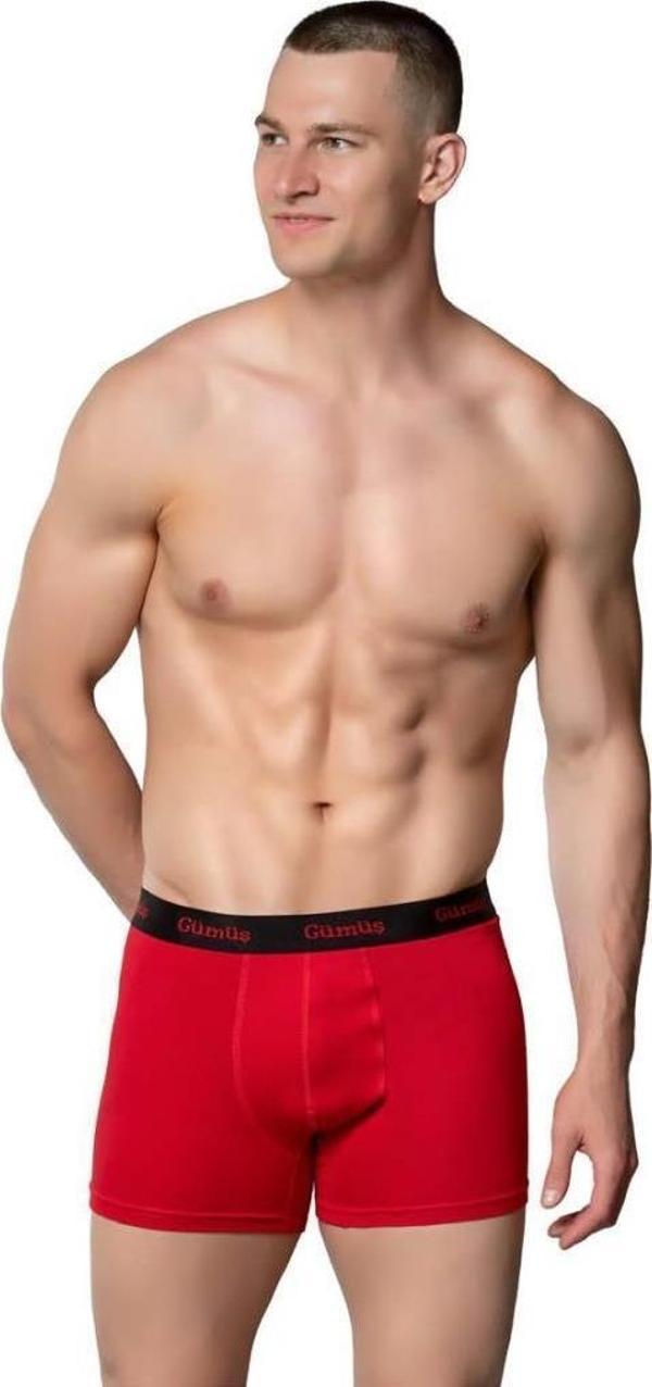 6 Adet Gümüş Erkek Renkli Likralı Spor Boxer 3074 - Image 1